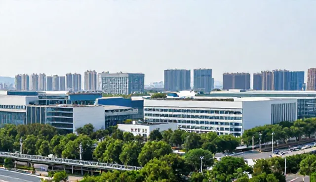 域名解析服务选型中，如何避免常见误区？